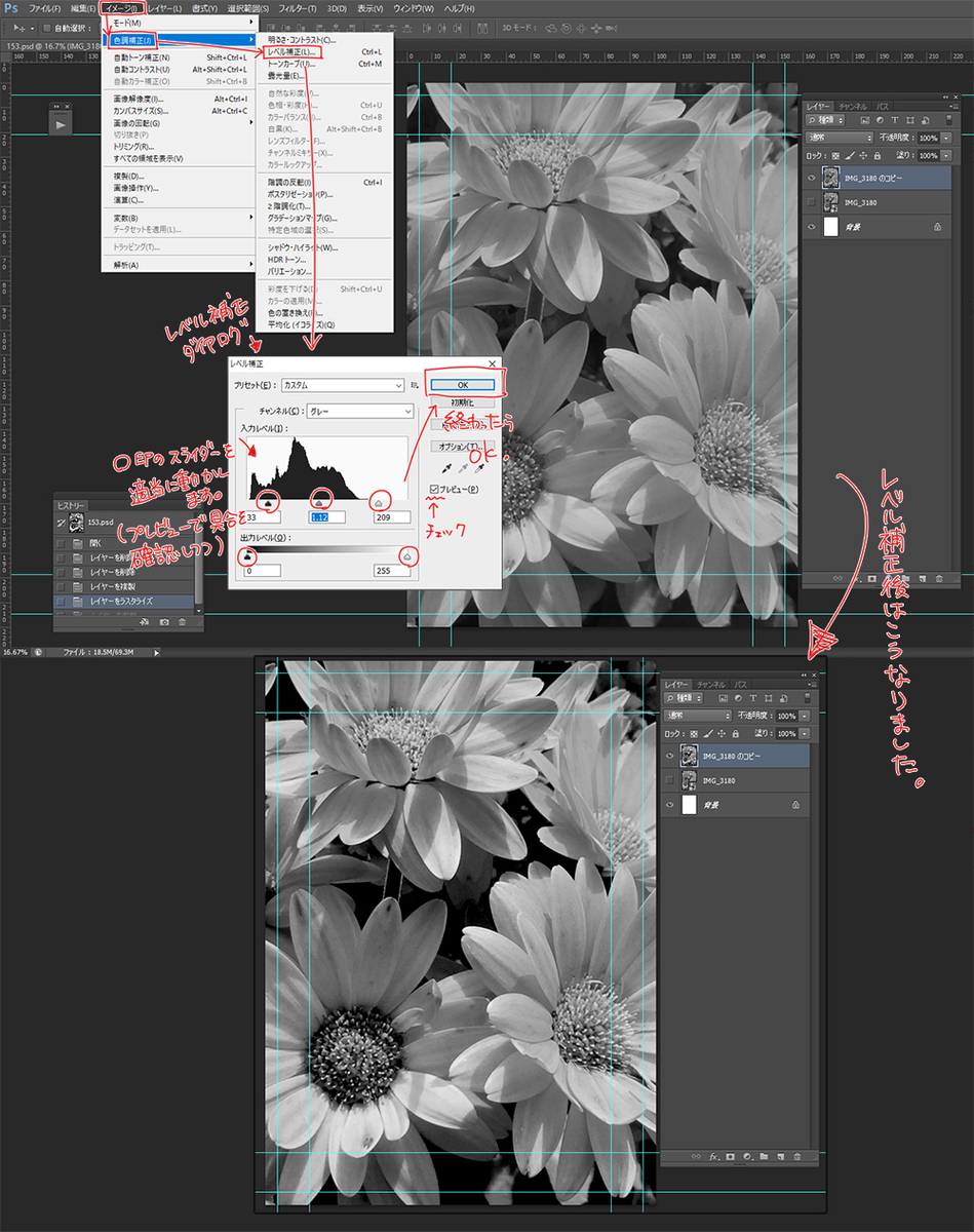 f:id:lunanix:20210215214315j:plain