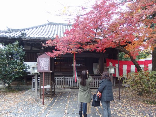 f:id:lunarcarrier:20191207224106j:plain f:id:lunarcarrier:20191207224106j:plain