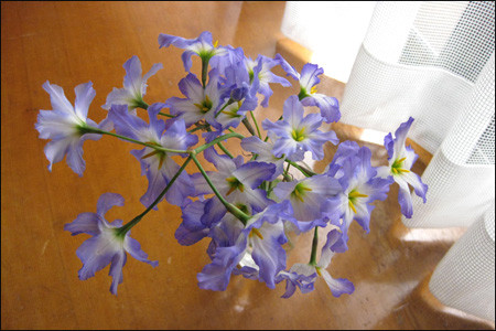 f:id:lunarmagic:20130403170250j:image