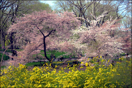 f:id:lunarmagic:20130423091207j:image