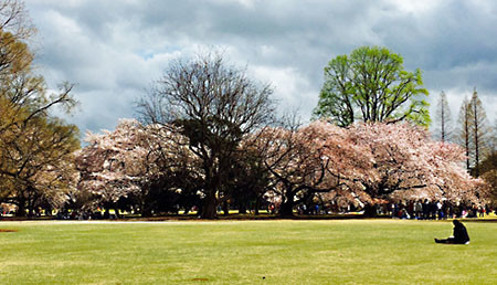 f:id:lunarmagic:20170407141035j:plain