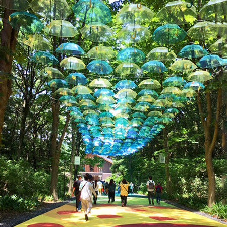 Umbrella Sky
