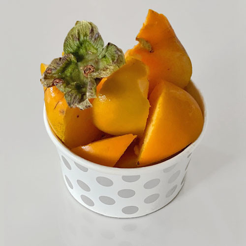 f:id:lunarmagic:20201014142755j:plain f:id:lunarmagic:20201014142755j:plain