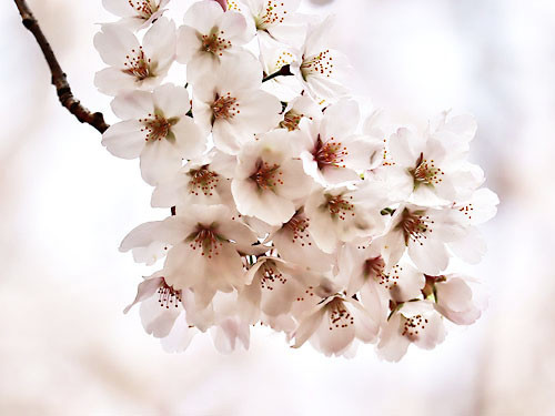 f:id:lunarmagic:20220330090849j:plain