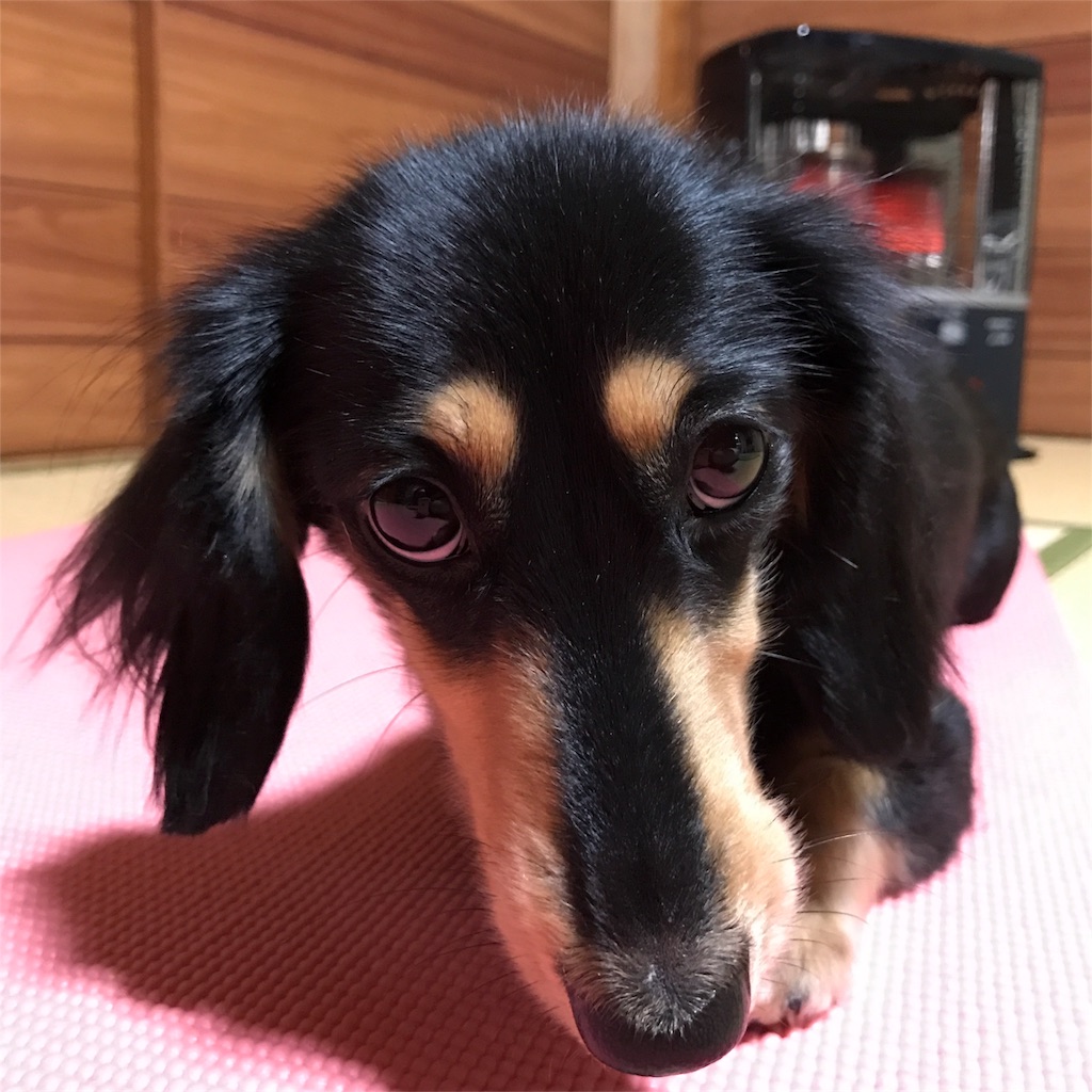 f:id:lunarnari:20170107142250j:image f:id:lunarnari:20170107142250j:image