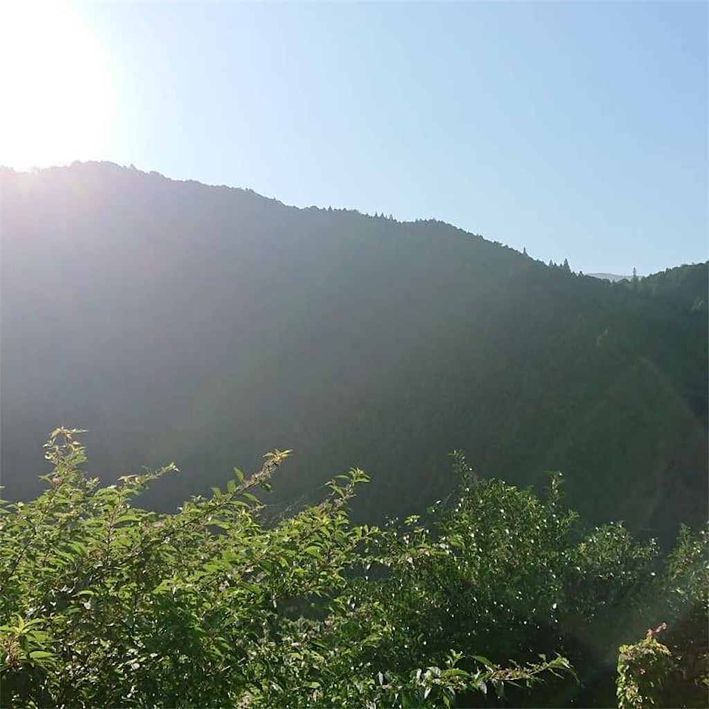 f:id:lunarnari:20190223154943j:image f:id:lunarnari:20190223154943j:image