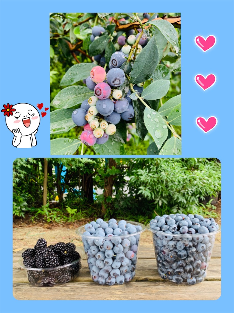 目をつぶって片足立ち歯磨き 月の魔法にかかった手 目をつぶって片足立ち歯磨き 月の魔法にかかった手