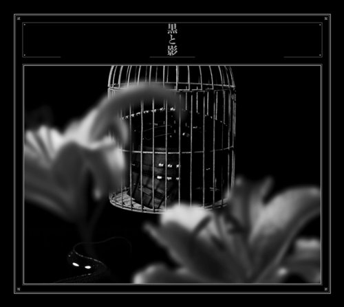 今を生きる果てにたどり着いた王国~黒夢「黒と影」（2014