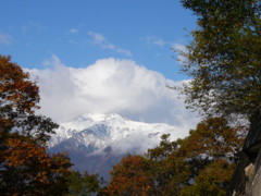 f:id:lunch_lunch:20081101084703j:image