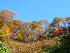 f:id:lunch_lunch:20081101084839j:image f:id:lunch_lunch:20081101084839j:image