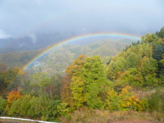 f:id:lunch_lunch:20081101095601j:image