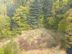 f:id:lunch_lunch:20081101095947j:image f:id:lunch_lunch:20081101095947j:image