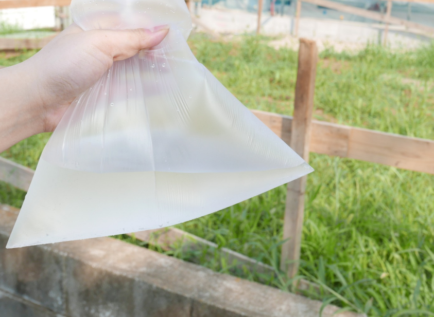 f:id:lunchking:20190327210510p:plain f:id:lunchking:20190327210510p:plain