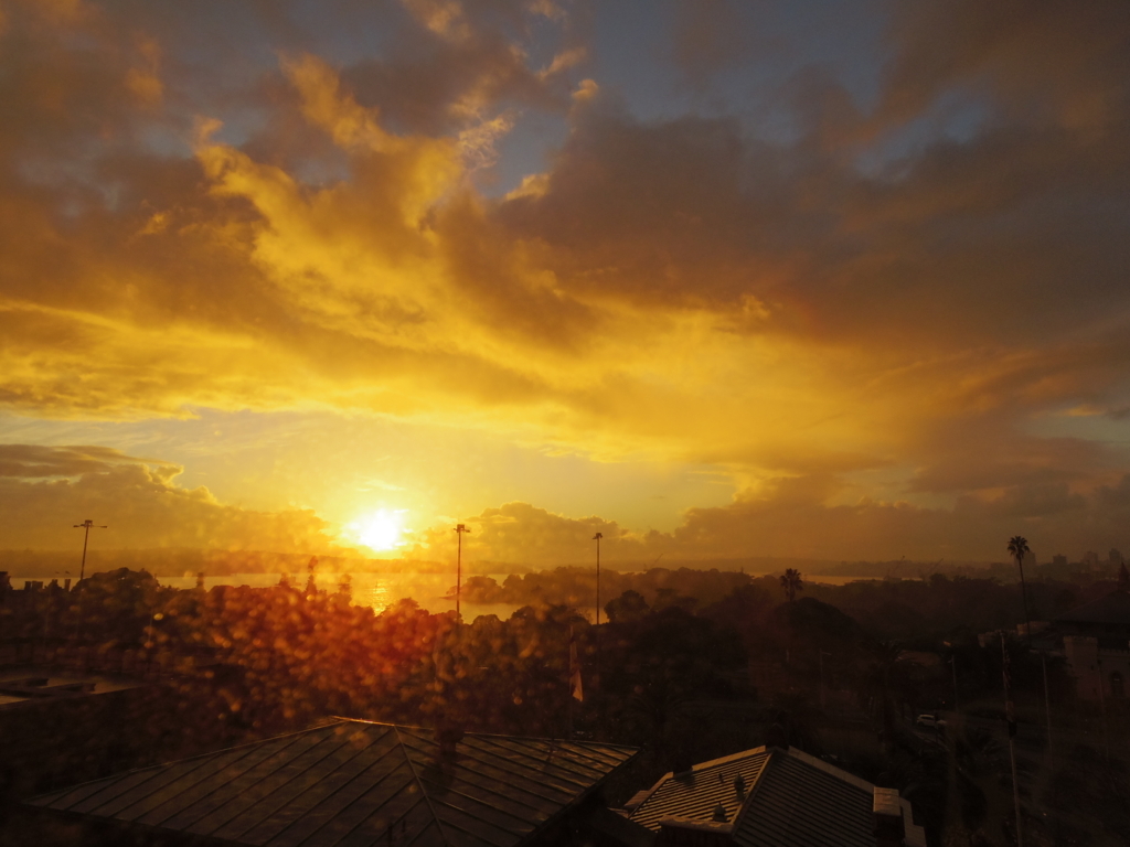 f:id:lune-19stella89-soleil0101:20180709221228j:plain f:id:lune-19stella89-soleil0101:20180709221228j:plain