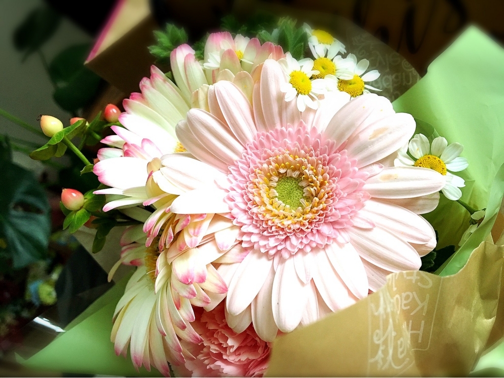 f:id:lune0222:20170615182133j:plain f:id:lune0222:20170615182133j:plain
