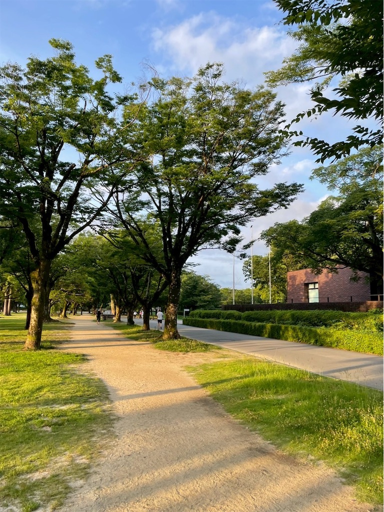 f:id:luomu1212171:20250712154541j:image