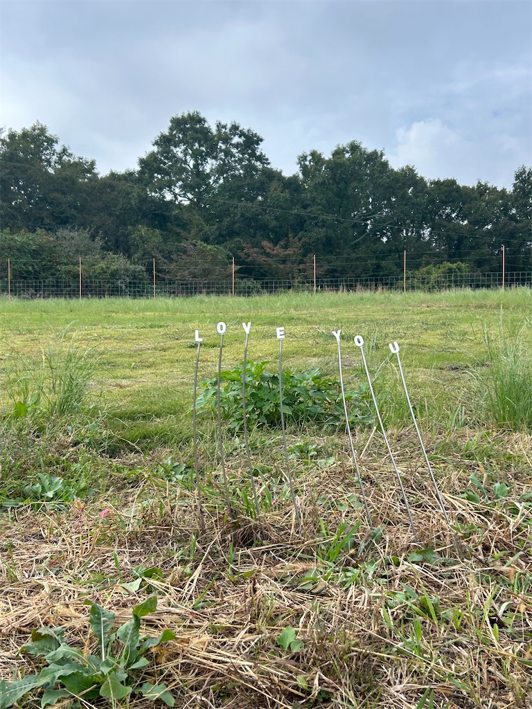 f:id:luomu1212171:20251025144330j:image