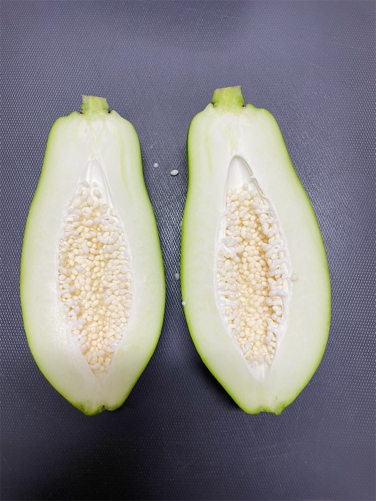 f:id:lupetta:20231023143819j:image