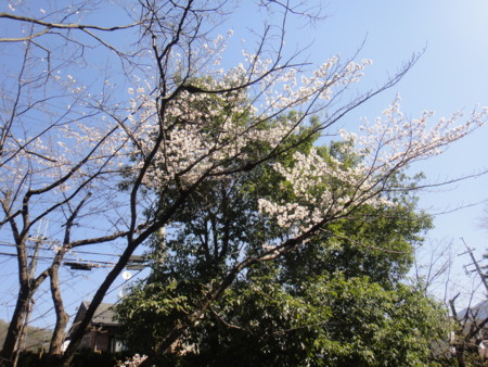 20110405095920