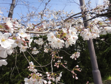 20110407095656
