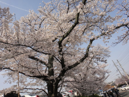 20110410145829