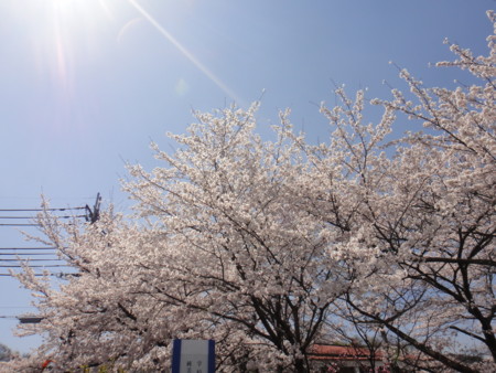 20110413121059
