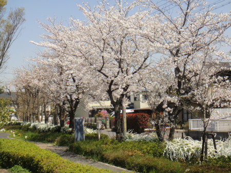 20110414121021