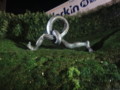 DSC05853.JPG