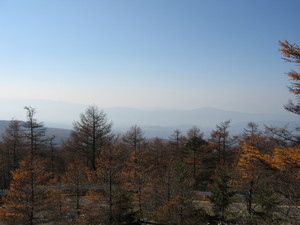 f:id:lupoGTI:20061105180231j:image f:id:lupoGTI:20061105180231j:image