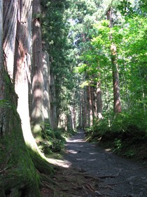 f:id:lupoGTI:20080726210442j:image