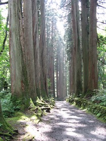 f:id:lupoGTI:20080726210443j:image