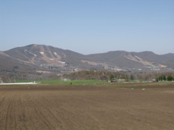 f:id:lupoGTI:20090502190027j:image