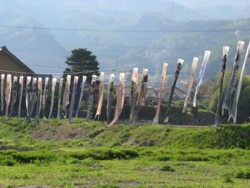 f:id:lupoGTI:20090502190057j:image