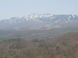 f:id:lupoGTI:20090502190924j:image