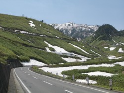 f:id:lupoGTI:20090502192929j:image