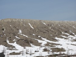 f:id:lupoGTI:20090502203619j:image