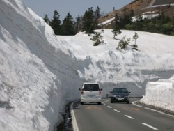 f:id:lupoGTI:20090502203821j:image