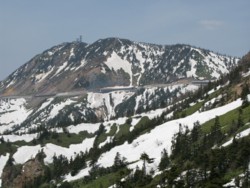 f:id:lupoGTI:20090502204420j:image