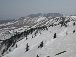 f:id:lupoGTI:20090502204807j:image