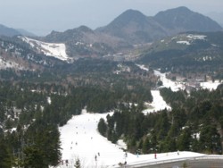 f:id:lupoGTI:20090502210017j:image