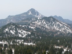 f:id:lupoGTI:20090502210041j:image