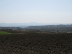 f:id:lupoGTI:20090503190443j:image