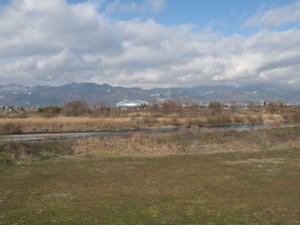 f:id:lupoGTI:20100109184041j:image