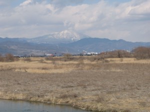 f:id:lupoGTI:20100220160702j:image