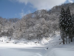 f:id:lupoGTI:20100322211229j:image f:id:lupoGTI:20100322211229j:image