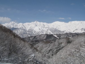 f:id:lupoGTI:20100322211802j:image f:id:lupoGTI:20100322211802j:image