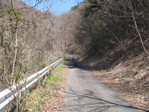 f:id:lupoGTI:20100425211659j:image