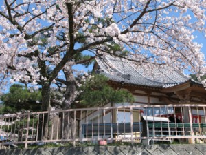 f:id:lupoGTI:20100425211712j:image