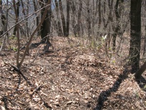 f:id:lupoGTI:20100425212212j:image