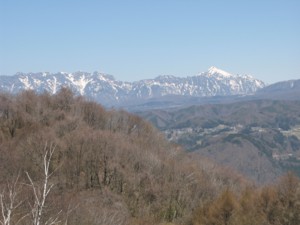 f:id:lupoGTI:20100425212301j:image